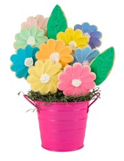 Spring_Cookies