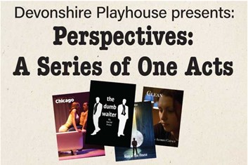 perspectives_ticket_image