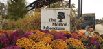 Morton_Arboretum