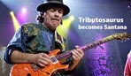 santana-Tributo-1