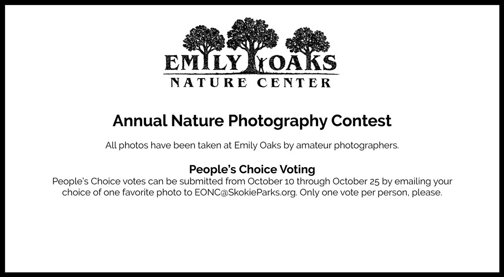 Emily Oaks Nature Photo Contest