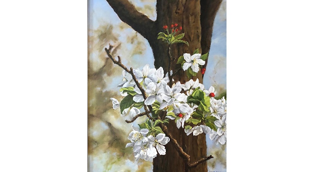 David_M._Robbin_--_Apple_Blossoms_in_Spring