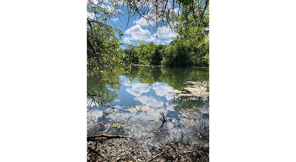 Scenery_AHG_Lake_Reflection