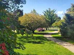Weissburg Park is now an arboretum!