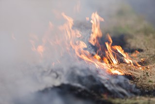 burn20