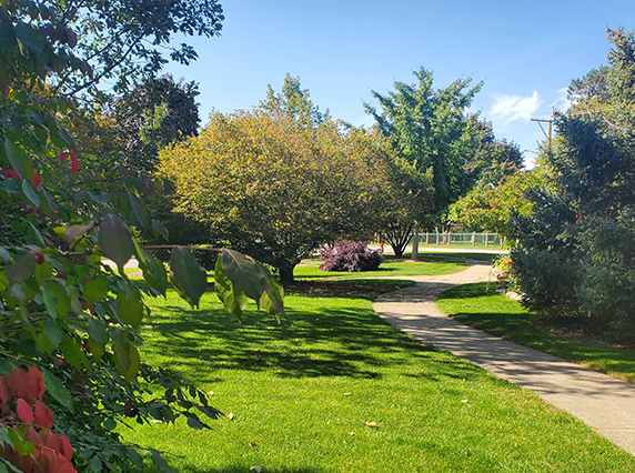 Weissburg Park Is Now An Arboretum General News News Skokie Park 