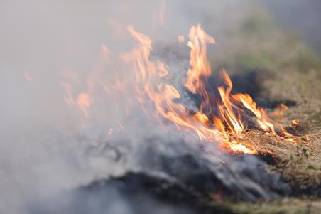 burn20