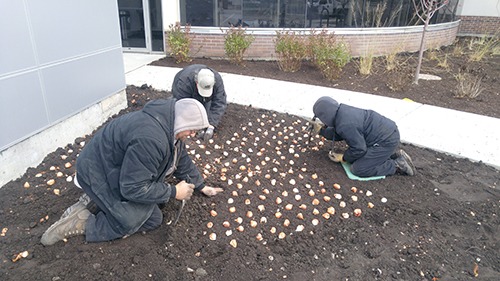 Weber center garden