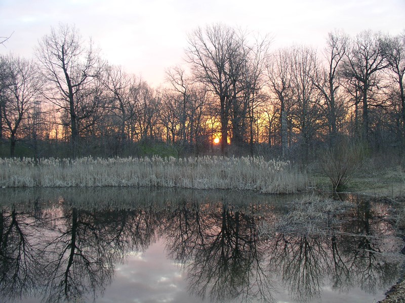 Emily Oaks Nature Center sunset