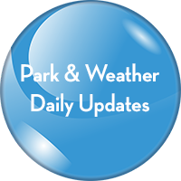 ssp-update-icon